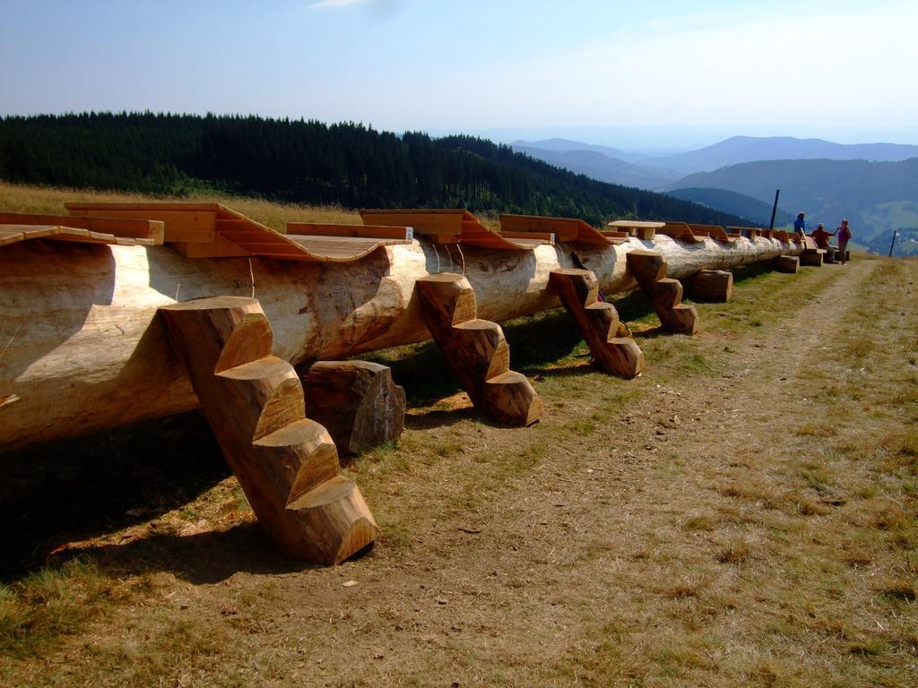 Bergseele Privat- & Retreathotel Schwarzwald Тодтнауберг Экстерьер фото