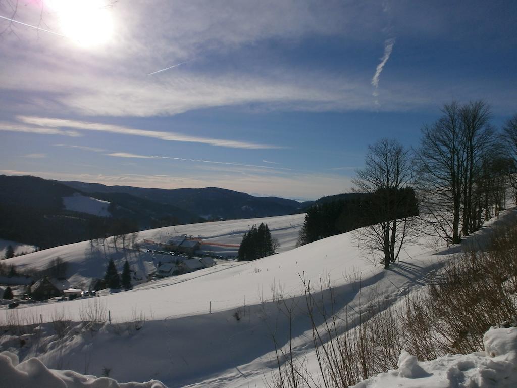 Bergseele Privat- & Retreathotel Schwarzwald Тодтнауберг Экстерьер фото